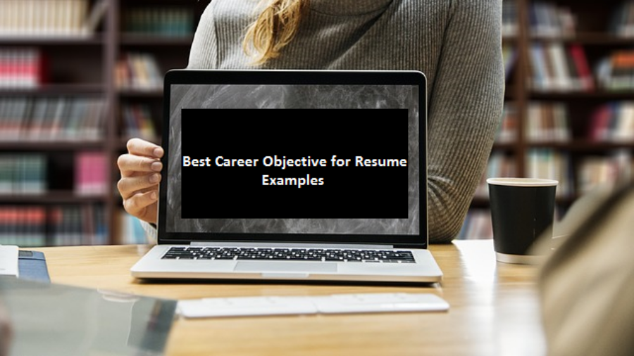 career objective in resume for freshers